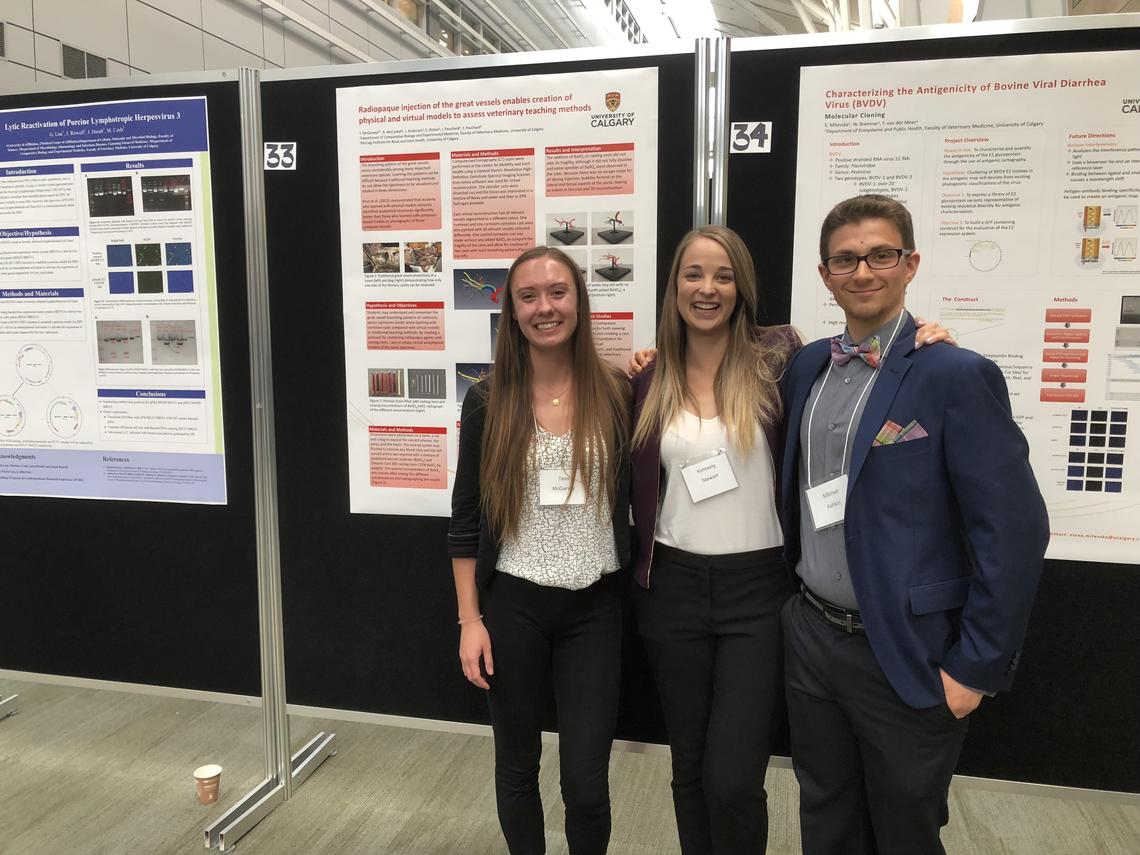 Second-year UCVM students Tess McGarvey, Kimberly Stewart and Mitchell Ashkin shared the results of their intensive summer of research at UCVM's SURE Day.