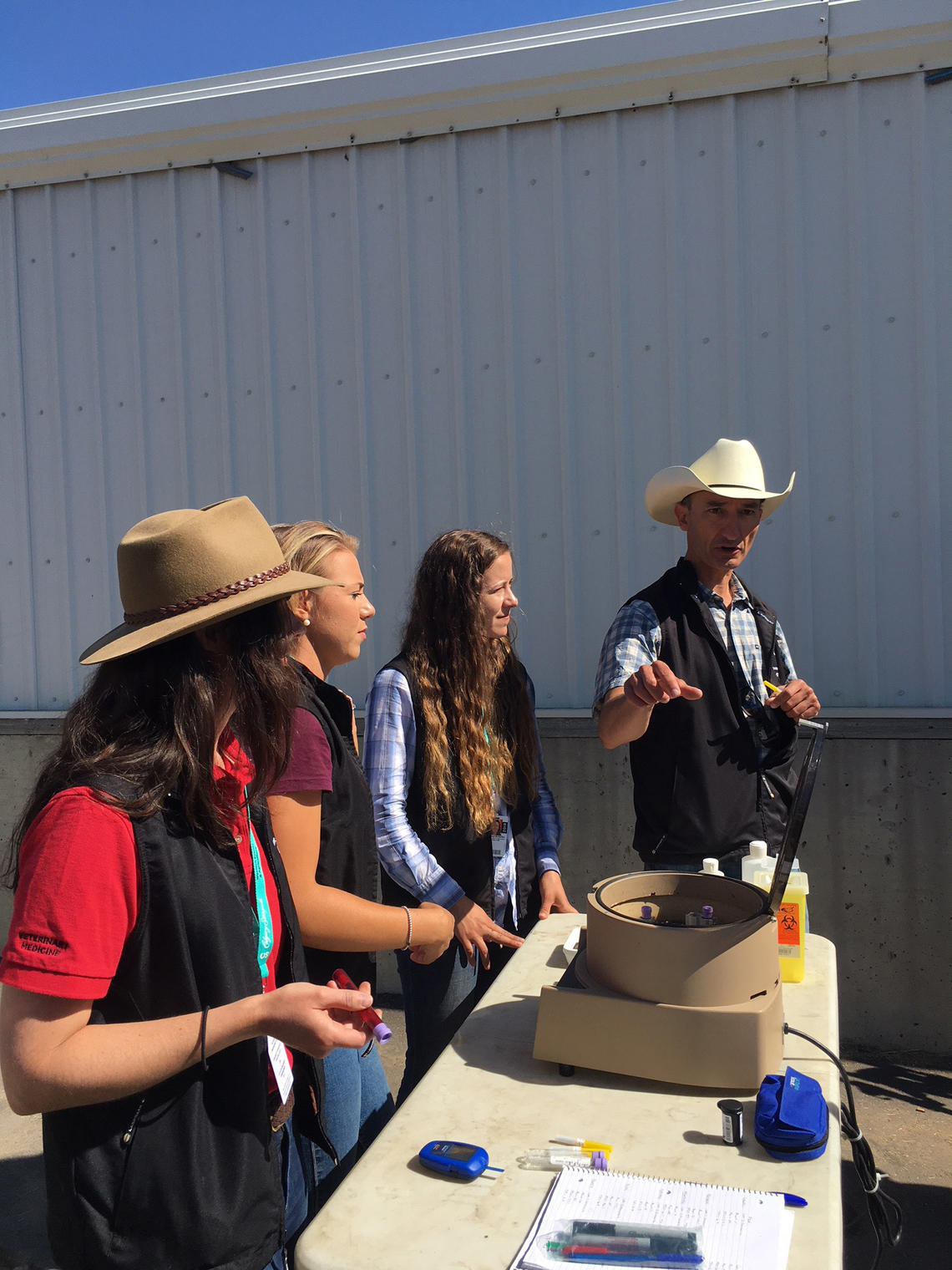 Renaud Léguillette and his team prepare a blood sample at the Calgary Stampede.