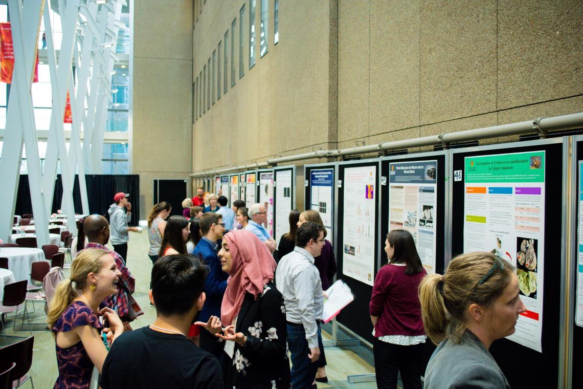 Poster presentations gave UCVM undergrads a great chance to share their summer of scientific research.