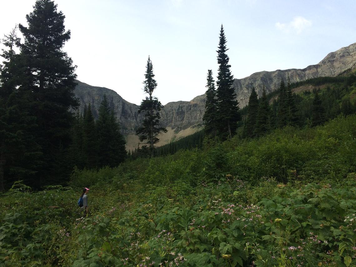 In the field, Dr. Hilary Young, MA'05, PhD'15