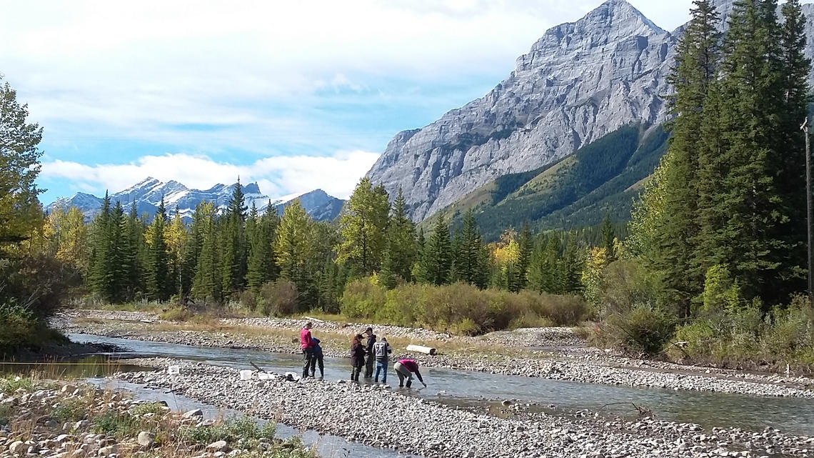 Students taking water samples during a field course.