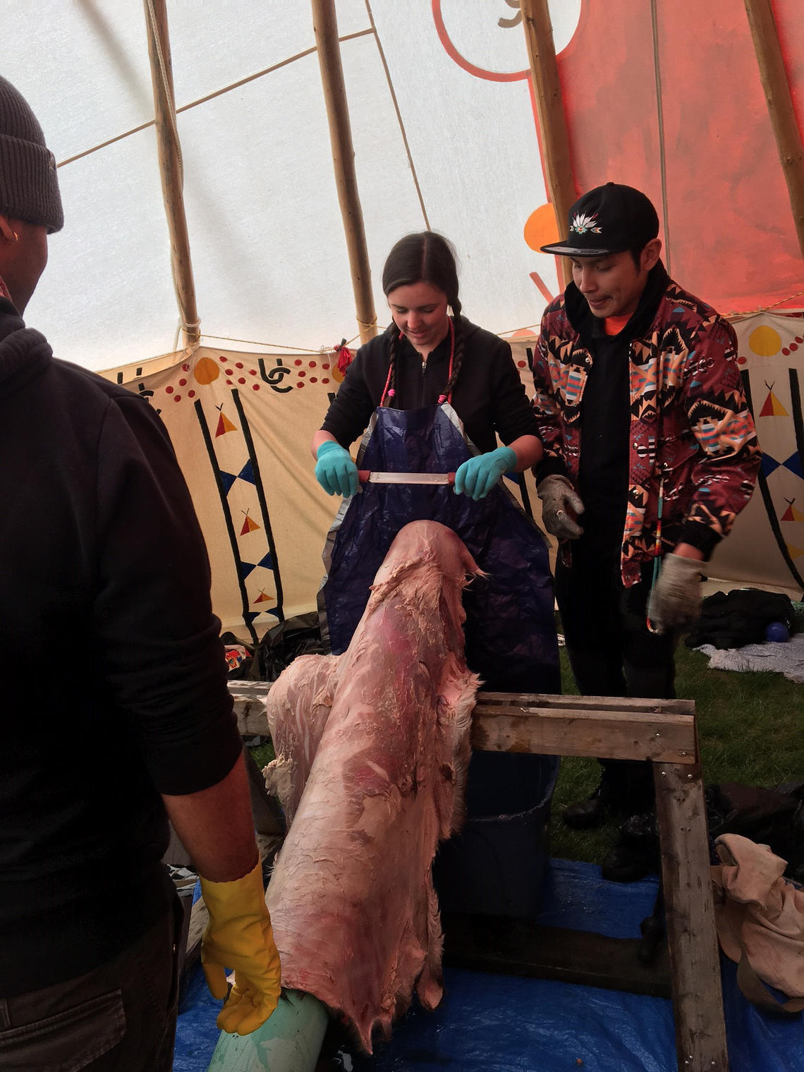 students scraping a hide