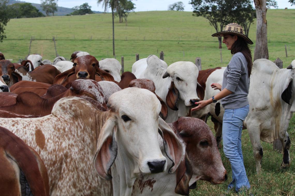 Dr. Maria Camila Ceballos standing in a field with cows.
