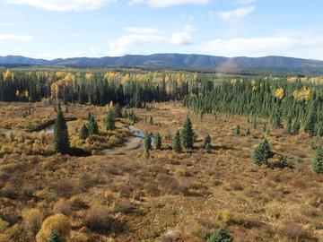 The Tay River winds through the Alberta Foothills 