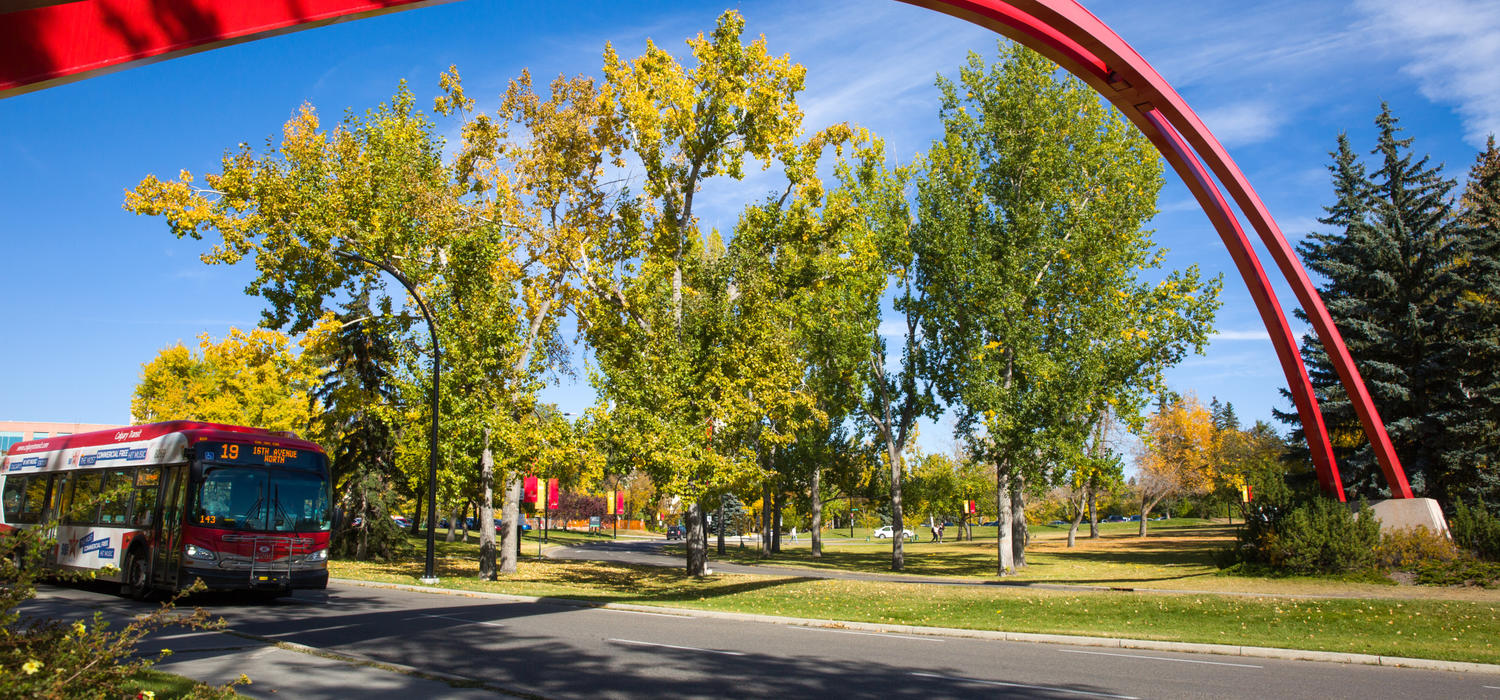 City transit bus drives underneath the UCalgary arch at the south side of campus.
