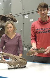 Dr. Darla Zelenitsky, PhD, and Jared Voris, PhD student are pictured with tyrannosaurid fossils at the Royal Tyrrell Museum.