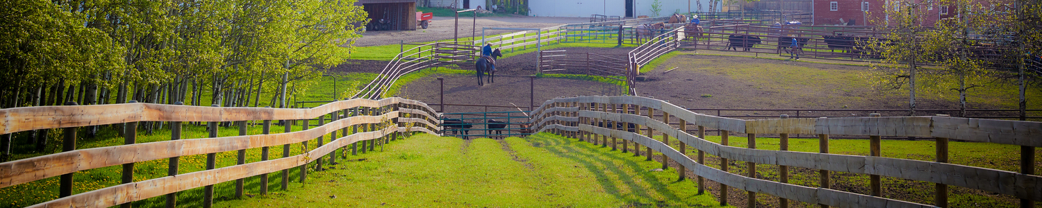 Supporting W.A. Ranches