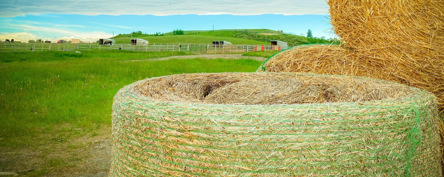 Virtual Campus Tours