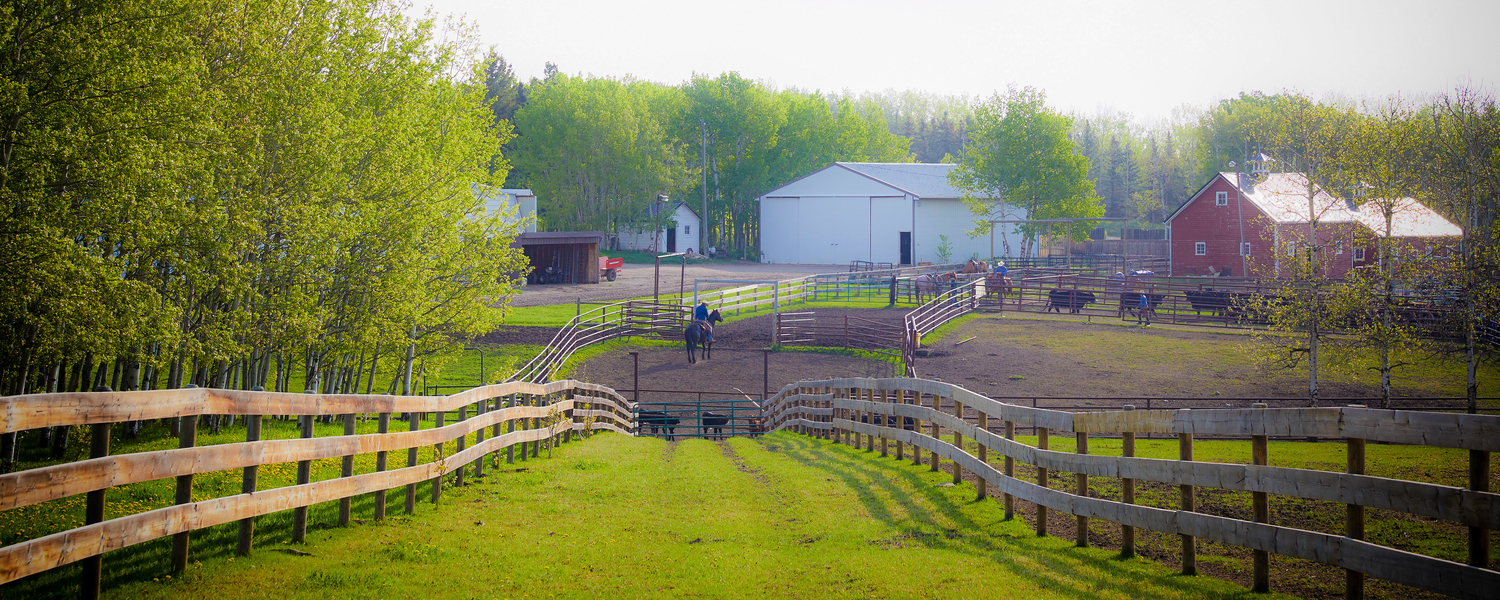 W.A. Ranches