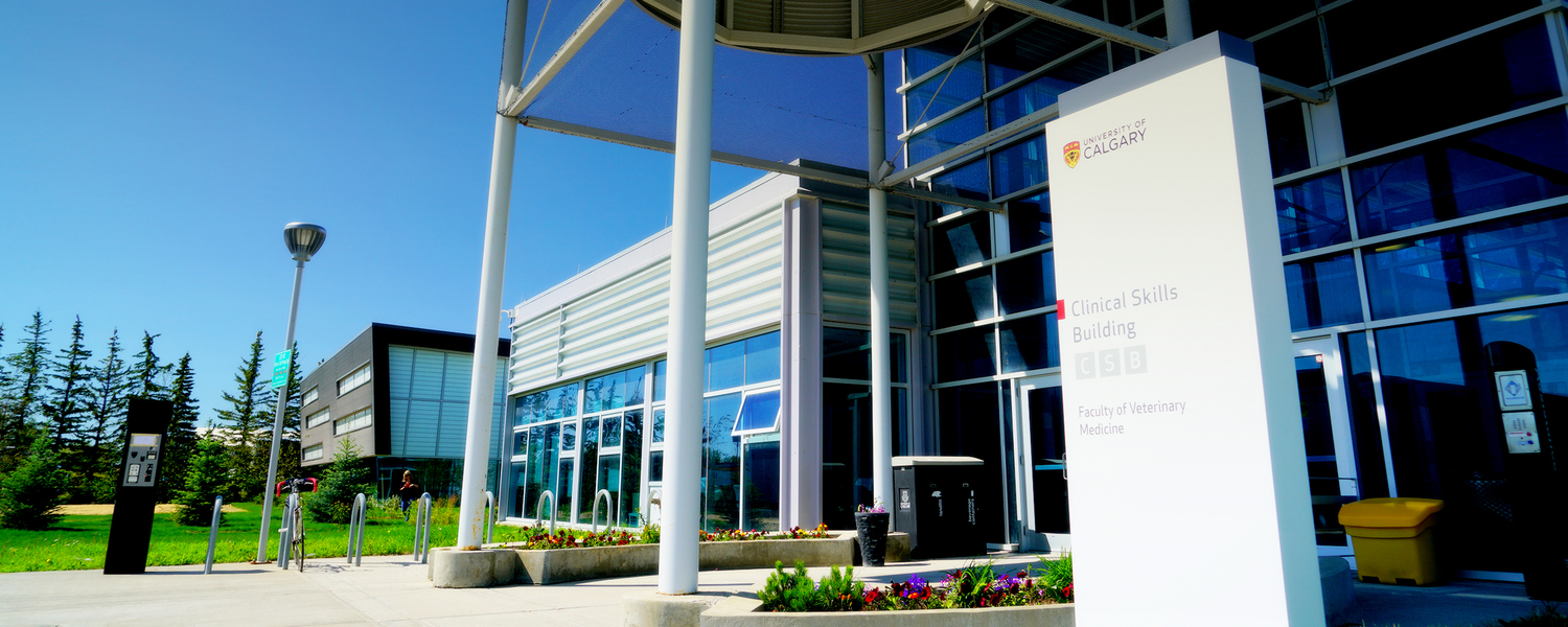 About Faculty of Veterinary Medicine University of Calgary