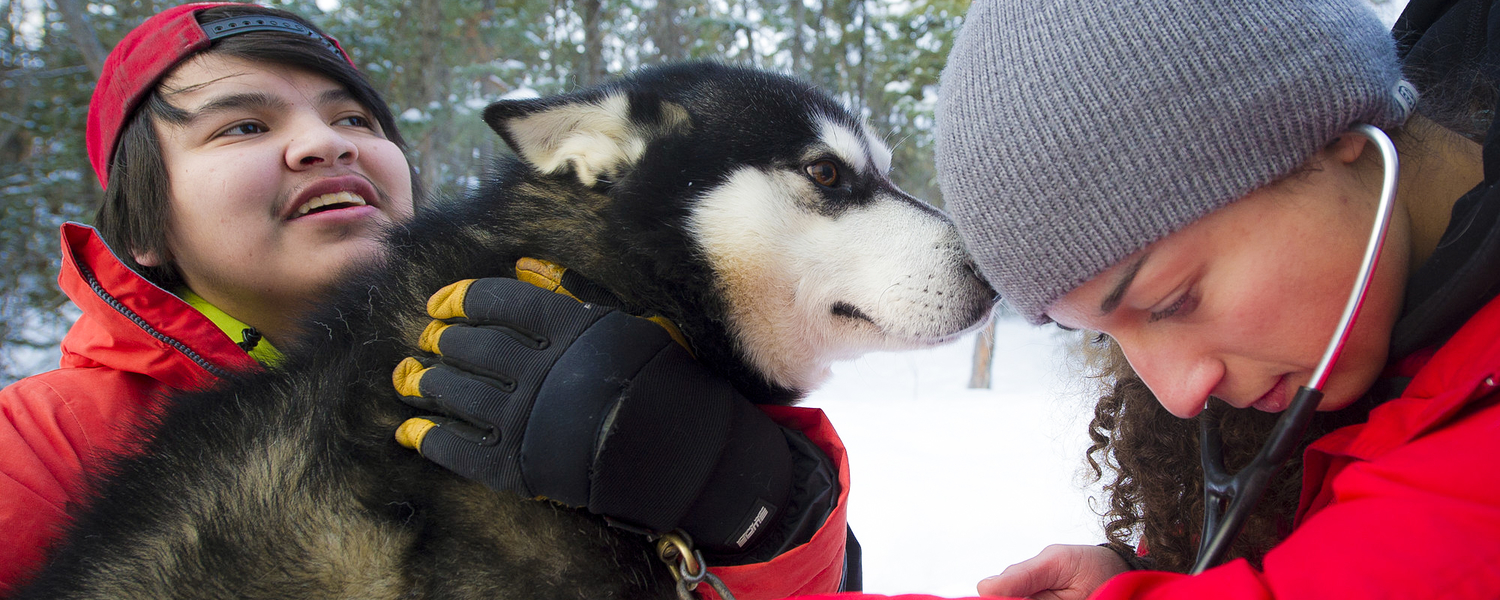 one health hero banner