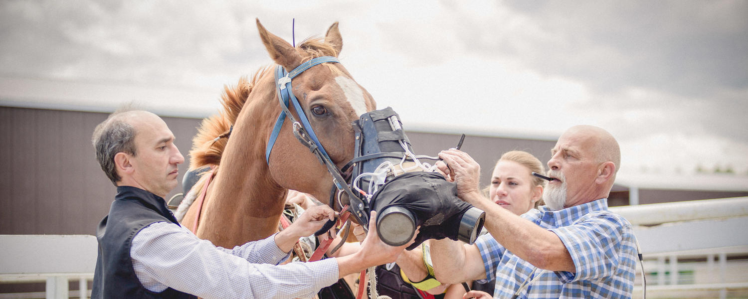 Clinical and Translational Research Group