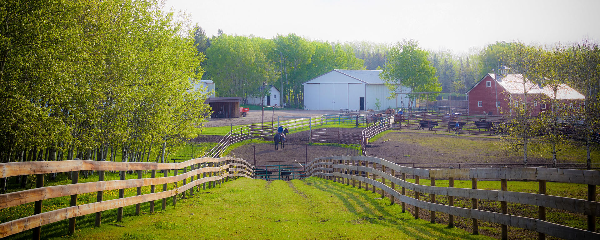 hero banner - wa ranches