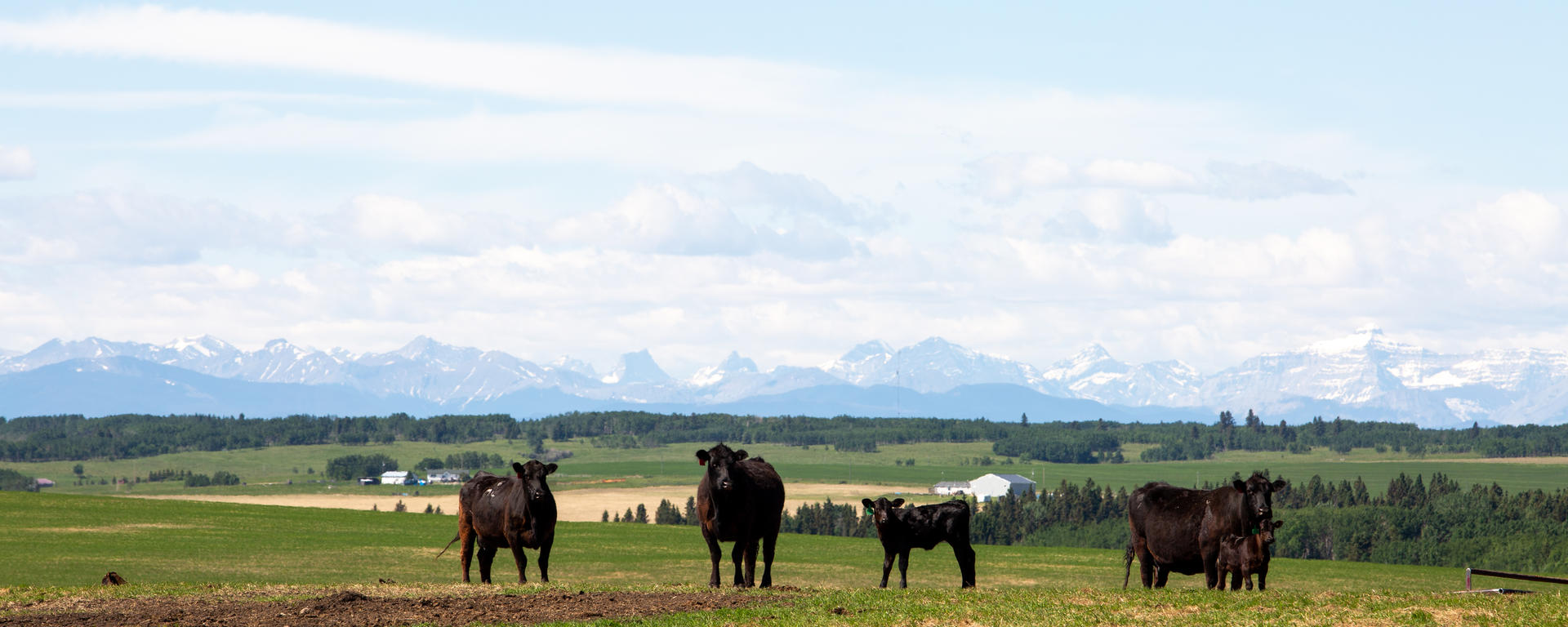 WA Ranch