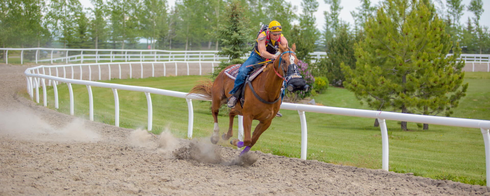 equine asthma