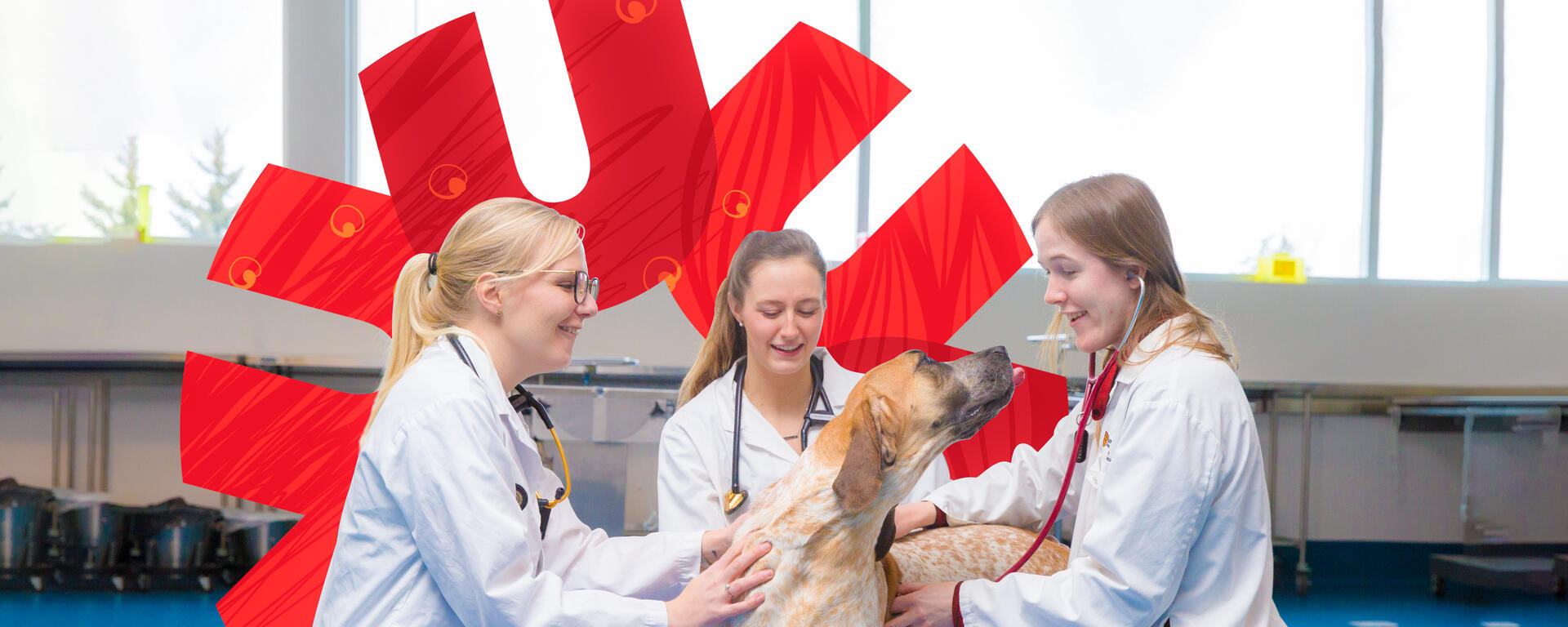 Give to UCVM