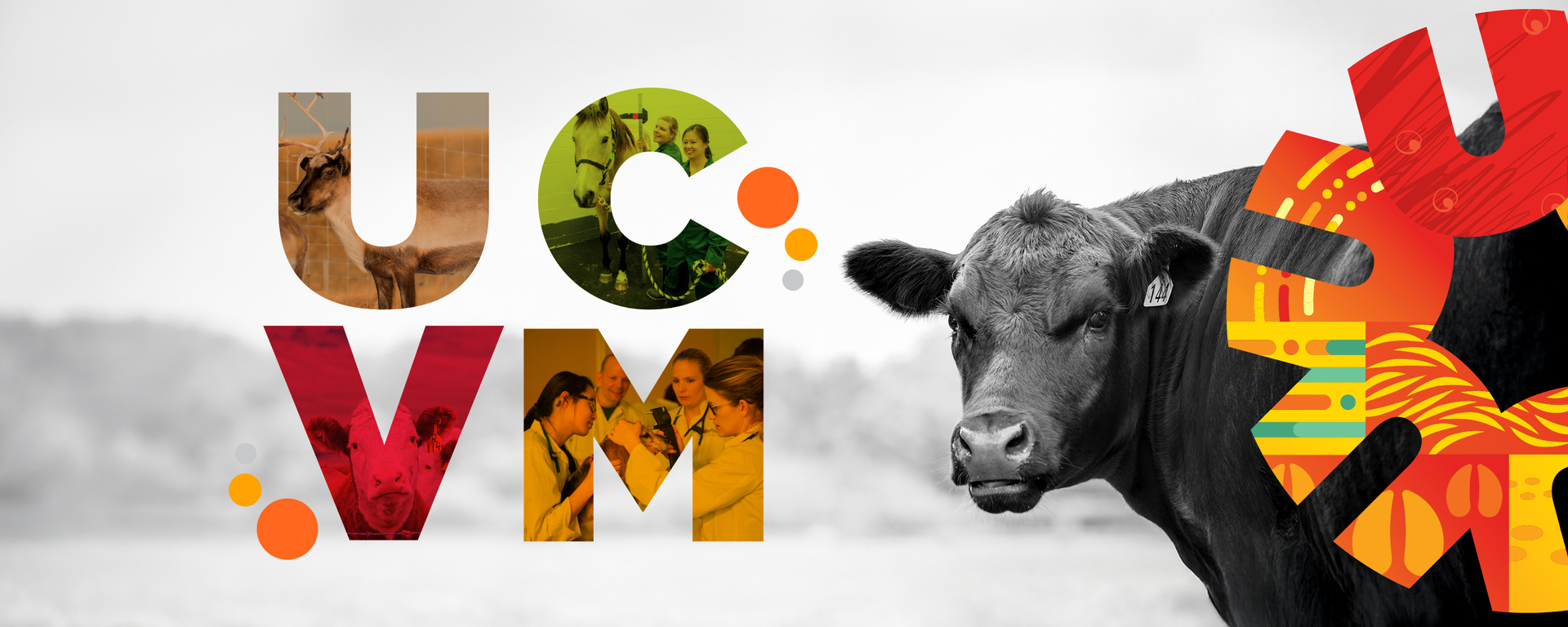 Faculty of Veterinary Medicine (UCVM)