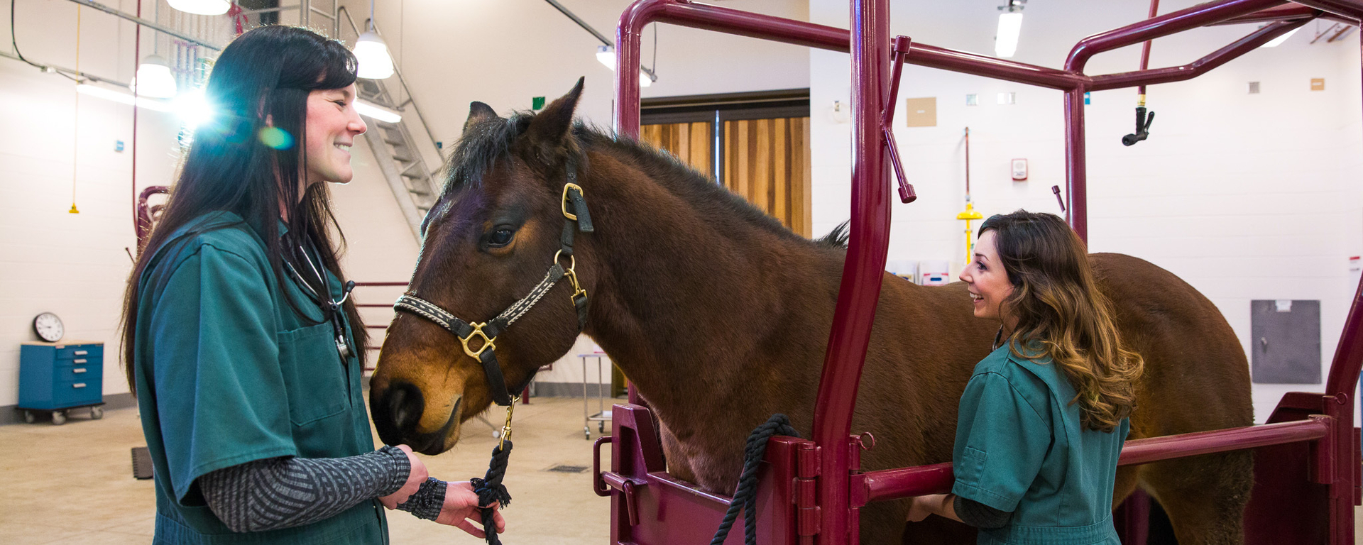 Two students with a horse 