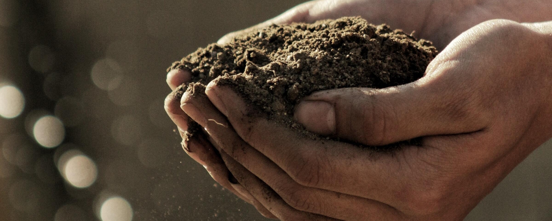 Close up of two hands holding soil