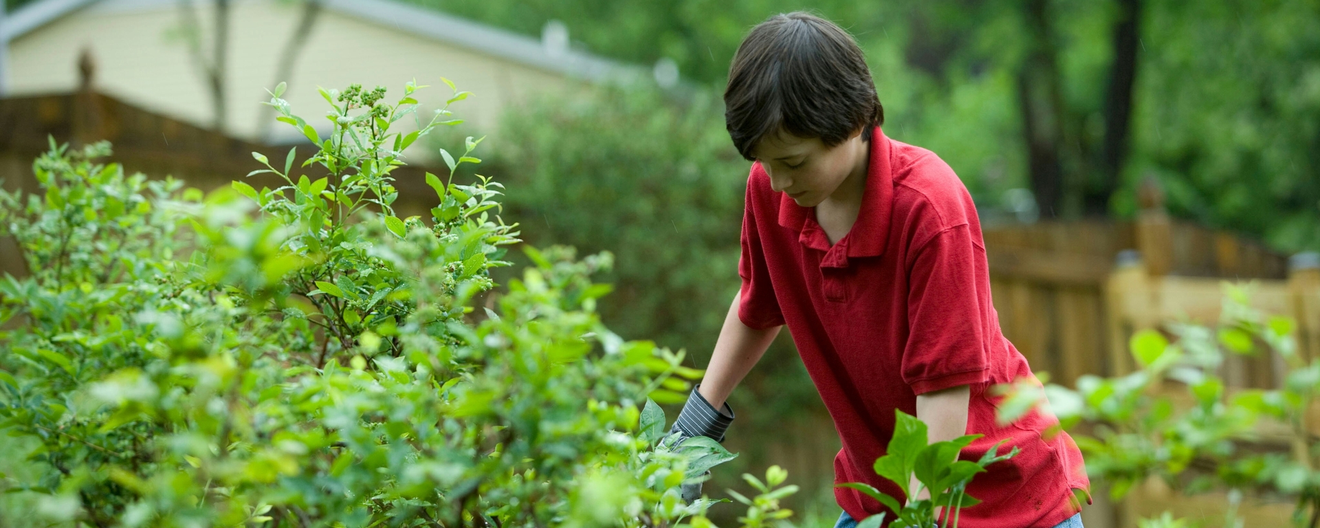 Boy gardening
