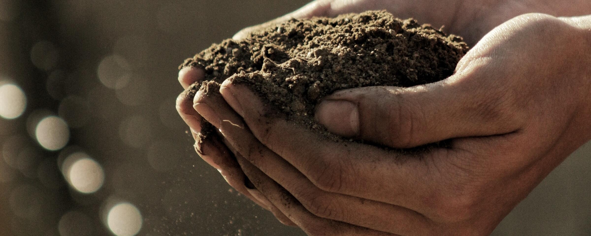 Close up of hands holding soil
