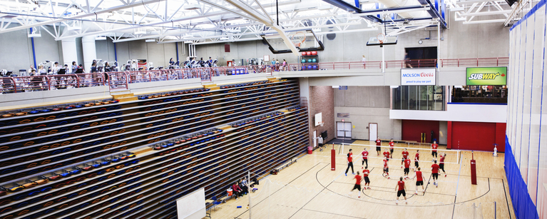People playing volleyball in a University of Calgary gymnasium.