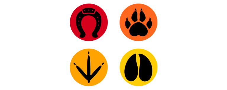 Four symbols of CAVS logo (horseshoe, pawprint, bird footprint, cow hoofprint)
