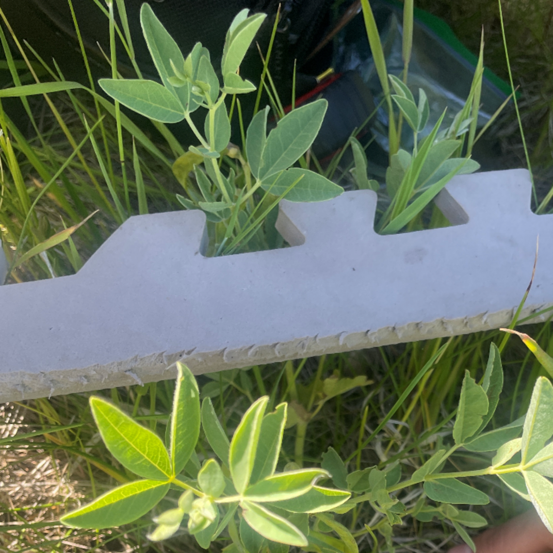 Agrivoltaics Research Park:  Establishing biodiversity baselines before  installation Paul Galpern