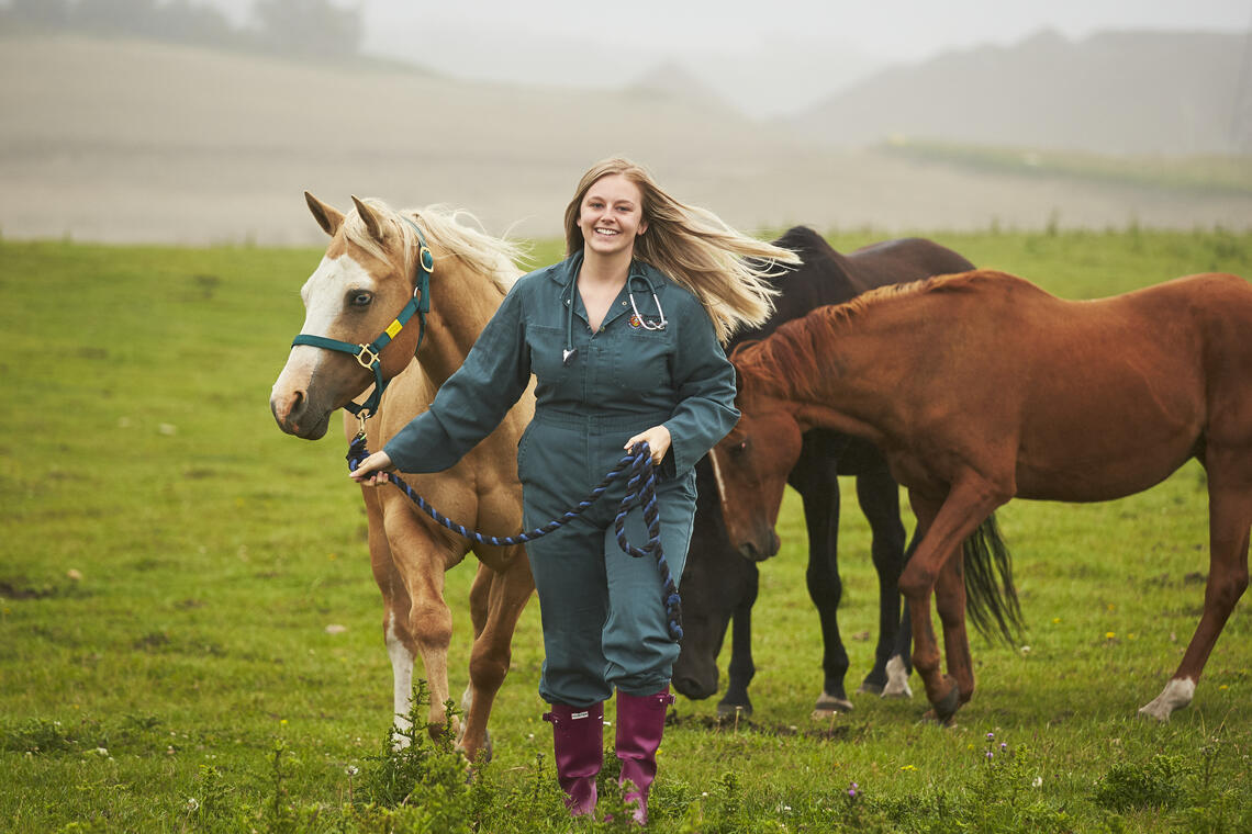 Equine Health Fund