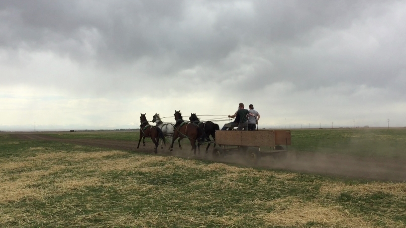 Thursday, June 1, 2017