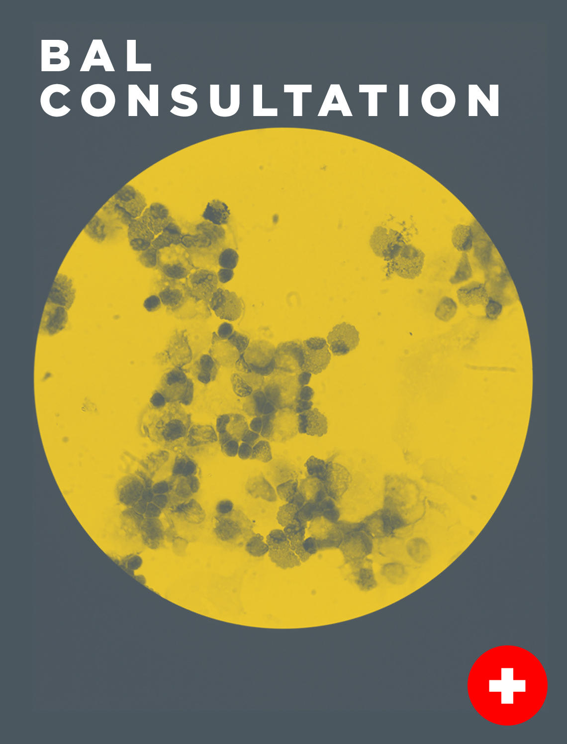 BAL Consultation