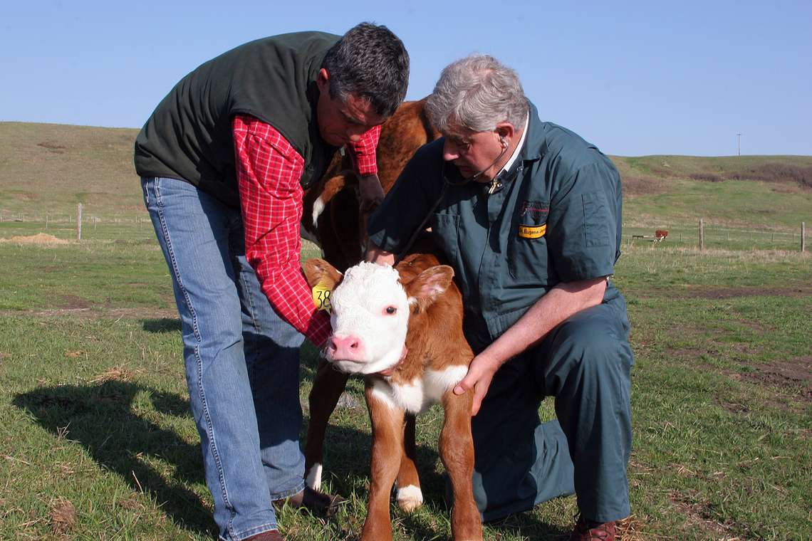Veterinarians