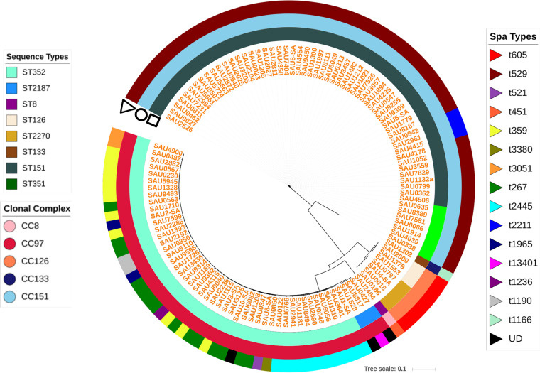 Core SNP-based phylogenetic tree of distribution of sequence types (STs), clonal complexes (CCs), and spa types of bovine S. aureus isolates.  www.ncbi.nlm.nih.gov/pmc/articles/PMC7343304/">https://www.ncbi.nlm.nih.gov/pmc/articles/PMC7343304/">Naushad et al. MSystems. 2020