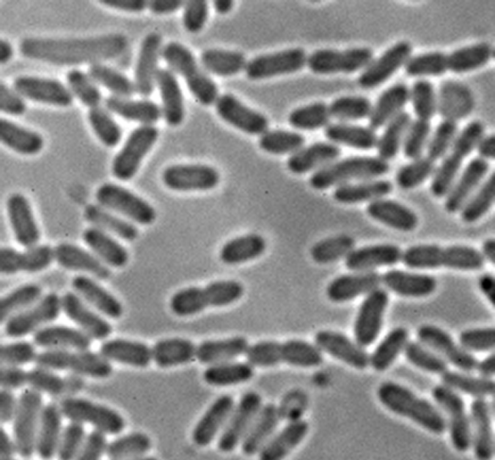 Did you notice one of the cells just disappeared?  ;)