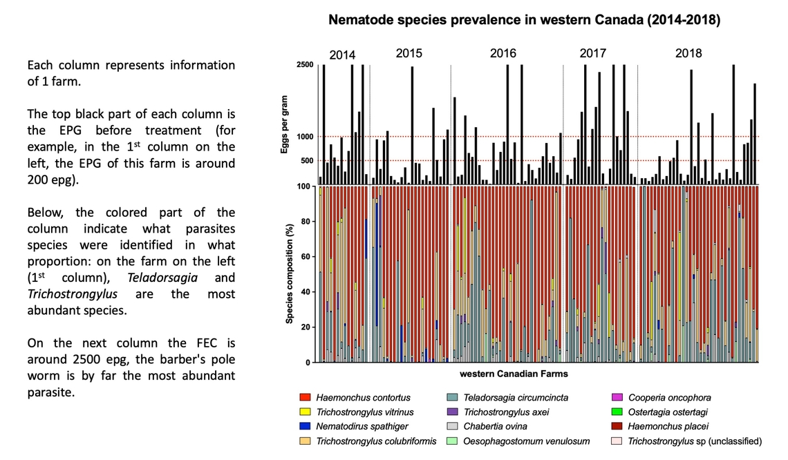 Nematode species prevalence survey in western Canada