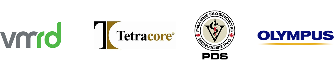 Thanks to our 2021 generous sponsors