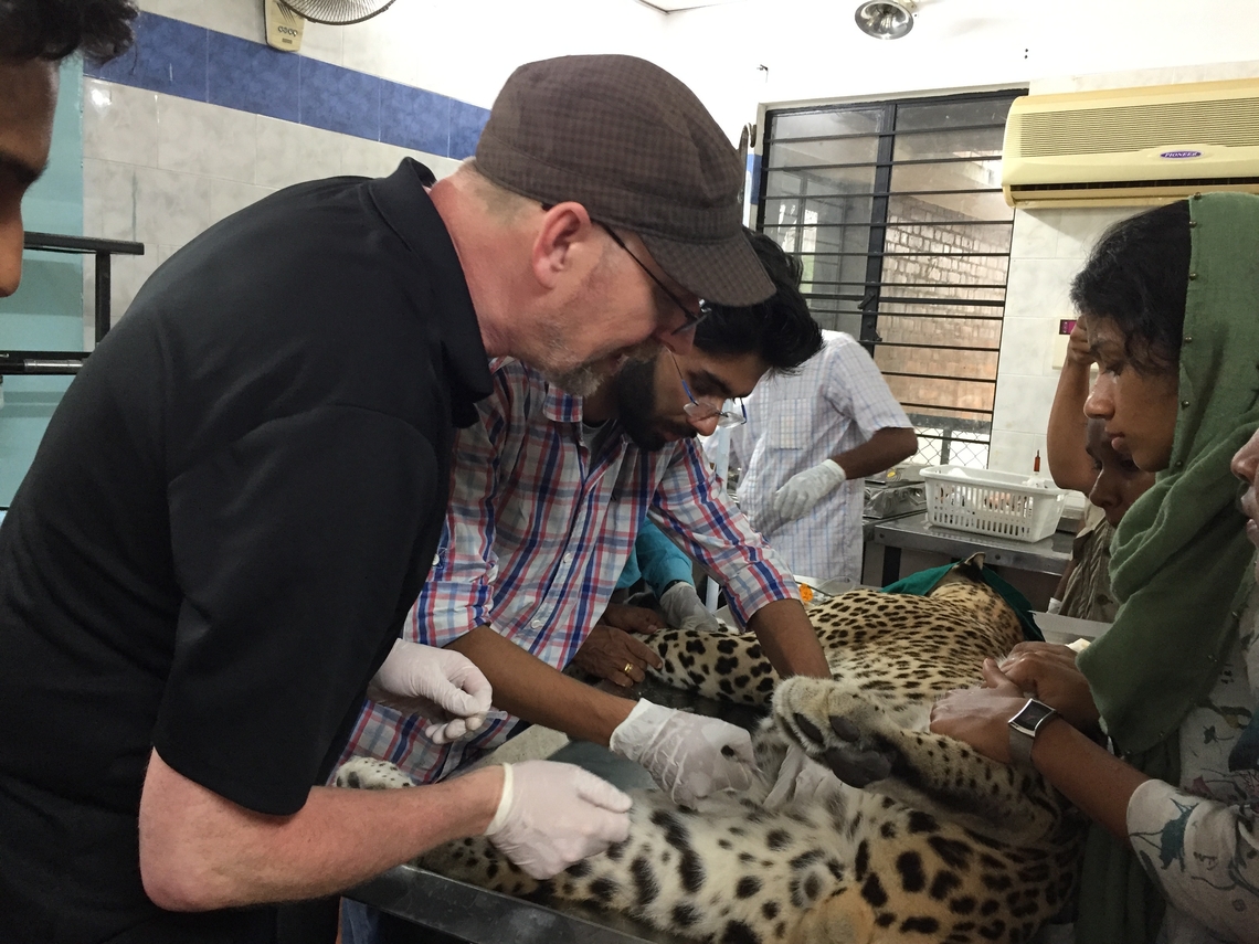 Dr. Caulkett works with Zoo and Wildlife veterinarians of Kerala for managing clinical cases of wildlife