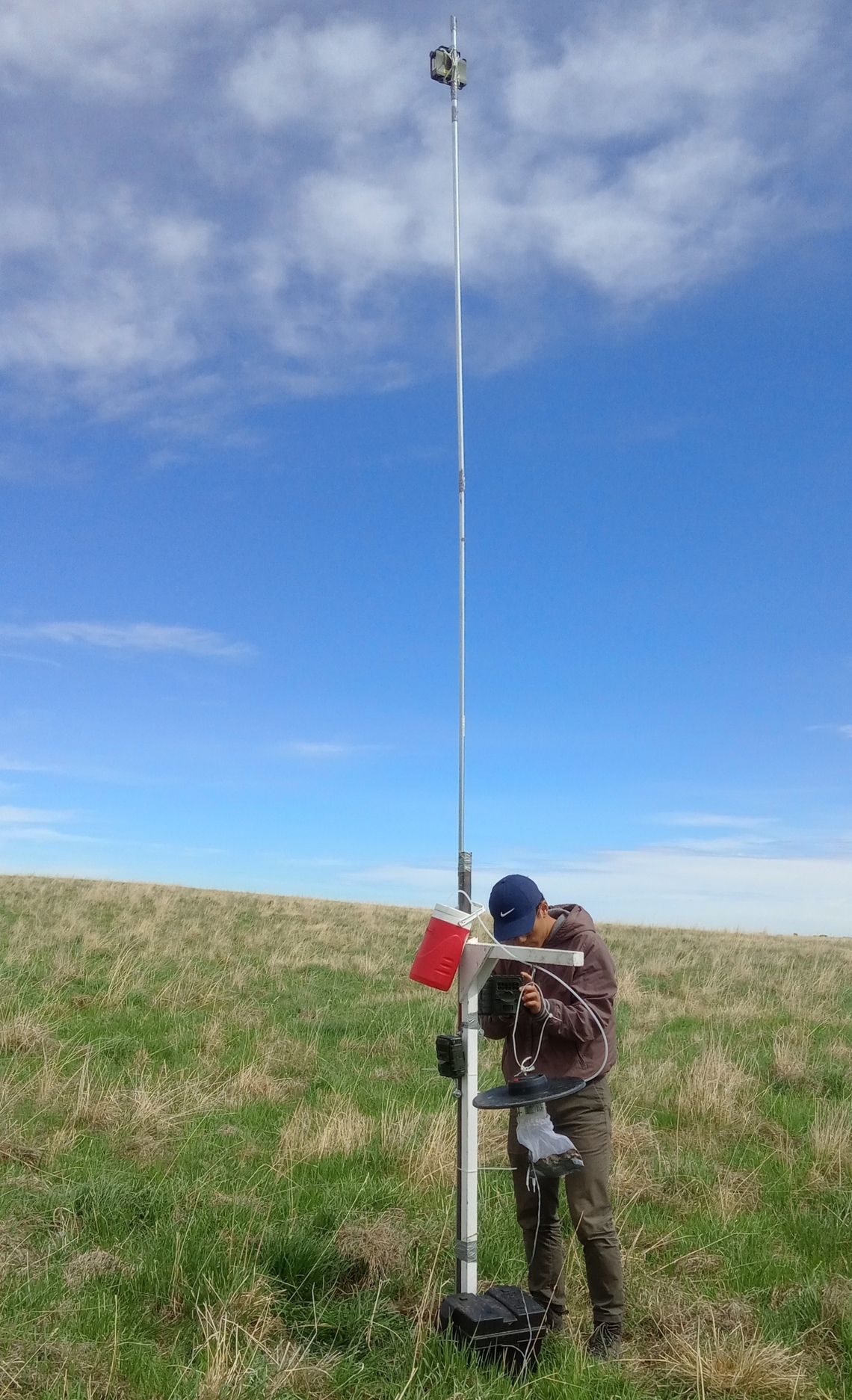 DVM student Derrick Zhang setting up a monitoring station in a WA Ranches pasture, made up of insect trap, bat acoustic detector and camera traps