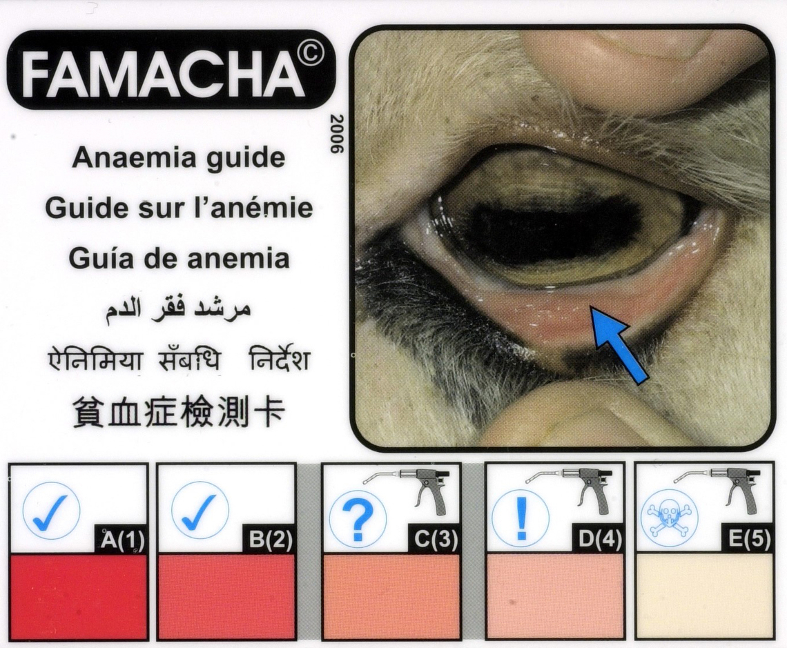 Figure 2 : FAMACHA card