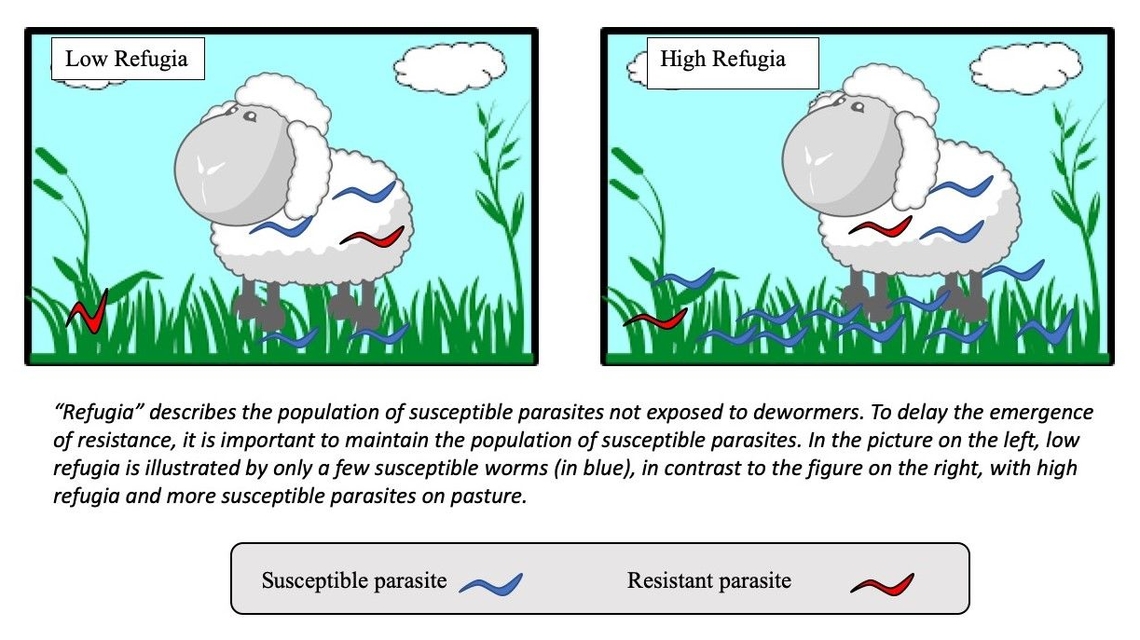 Figure 1. Refugia illustrated