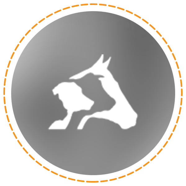 UCVM Disributed Veterinary Teaching Hospital Award	Bluffton Veterinary Services