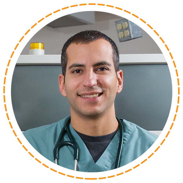 Students of the Canadian Veterinary Medical Association Teacher of the Year Award	Serge Chalhoub