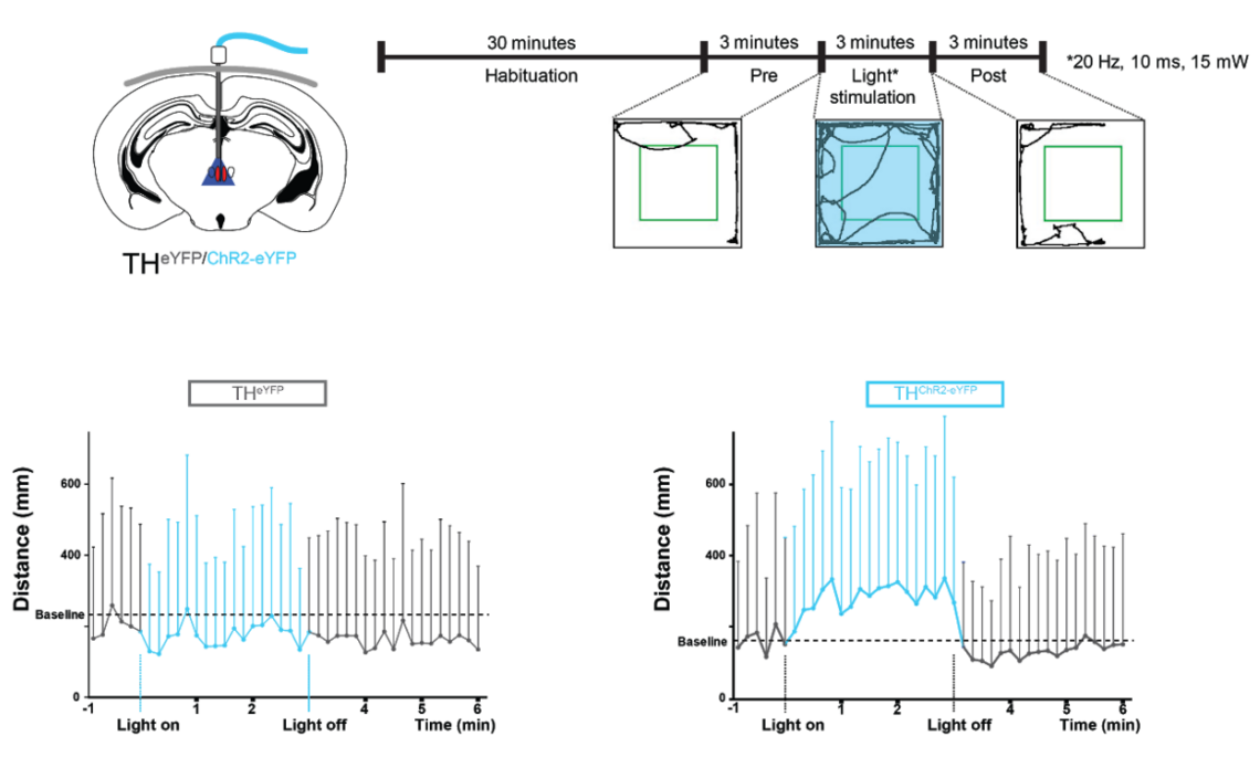 Optogenetics