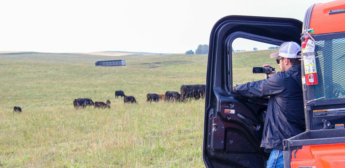 Understanding bull behavior