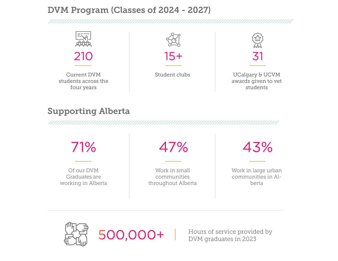 dvm stats