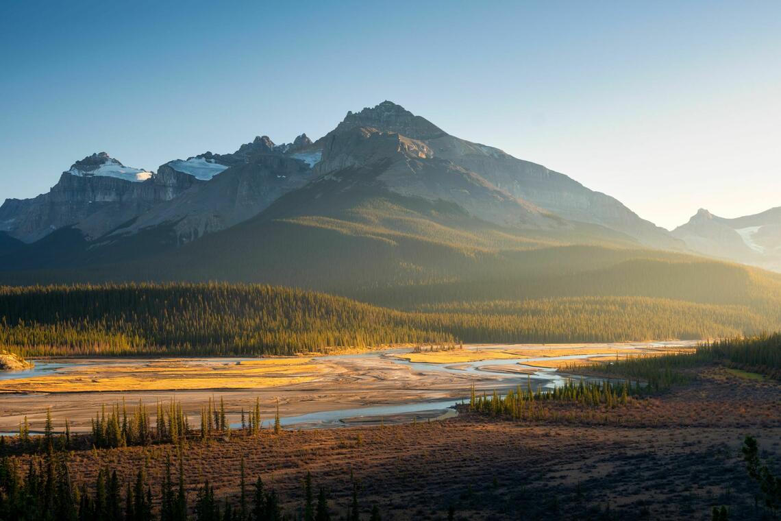 Alberta Land