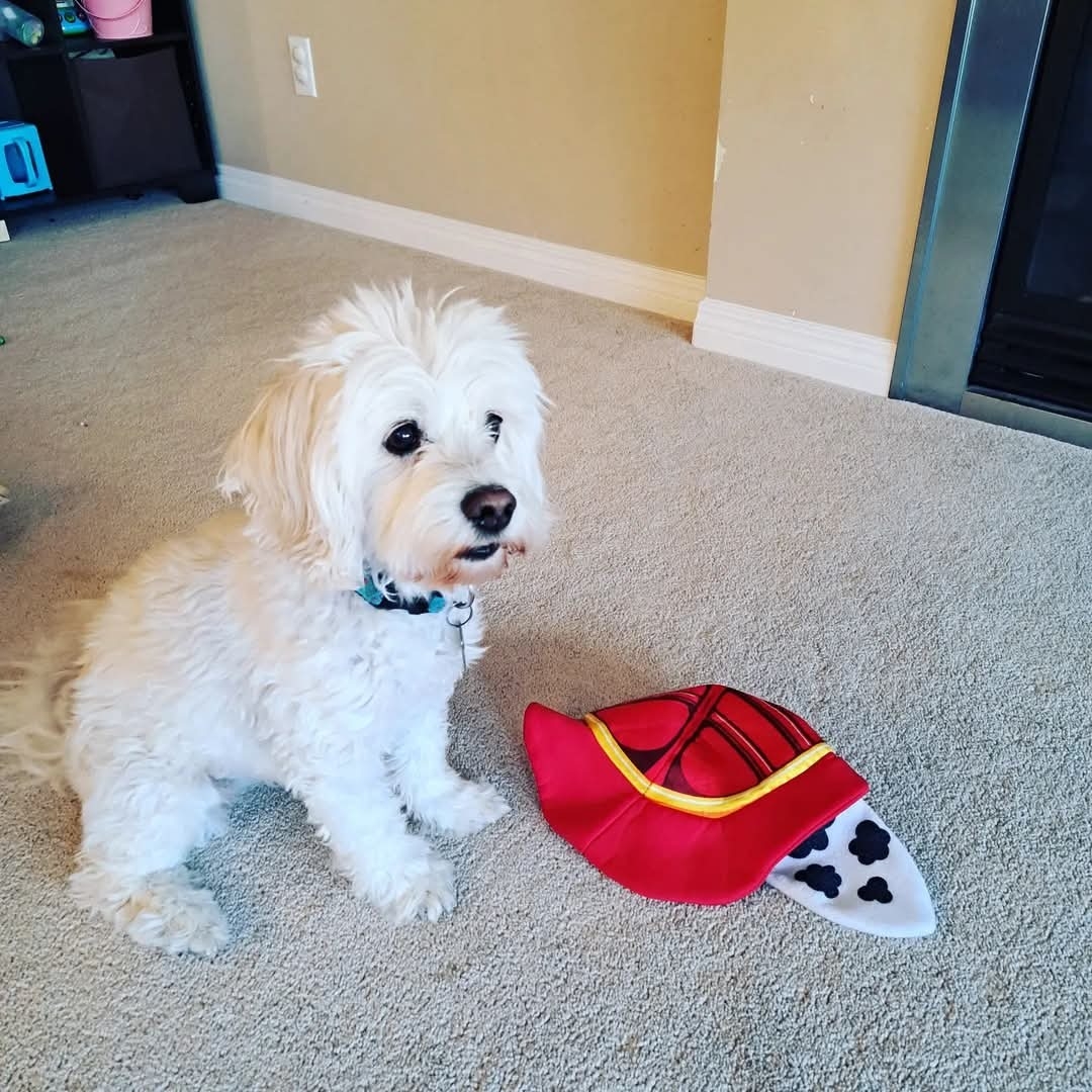 Winnie