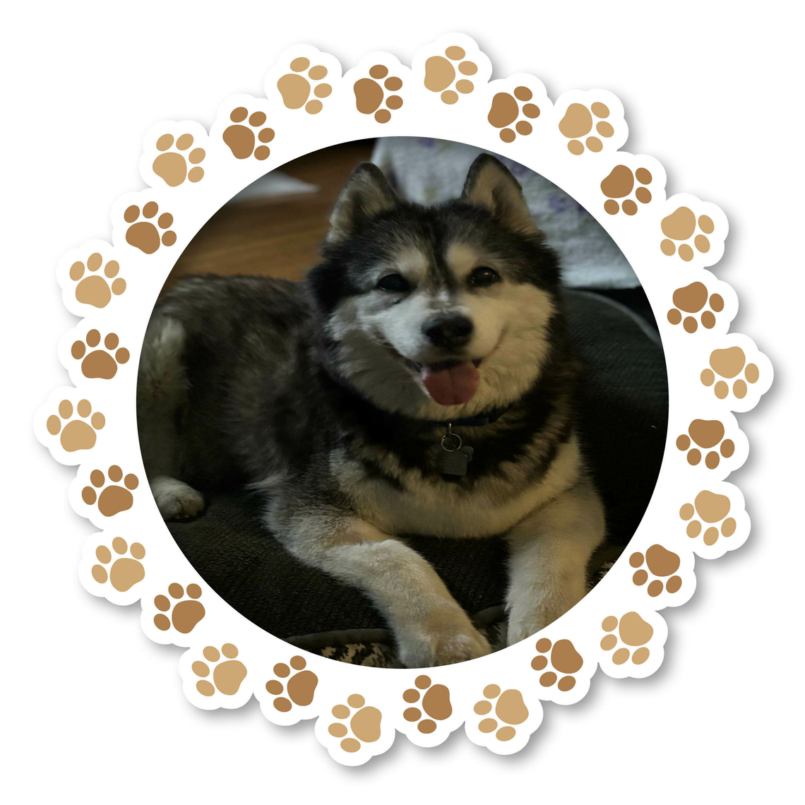 Nova