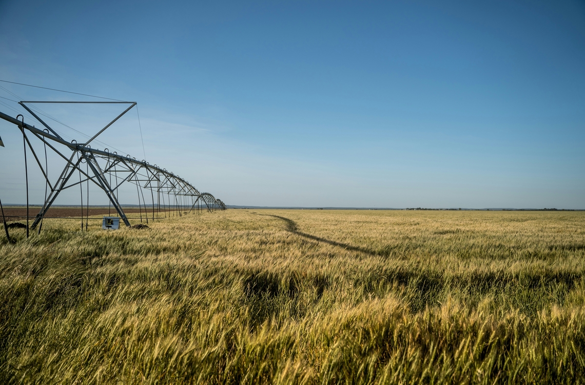 irrigation on a field