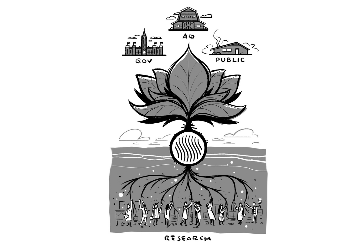 Research dissemination tree graphic